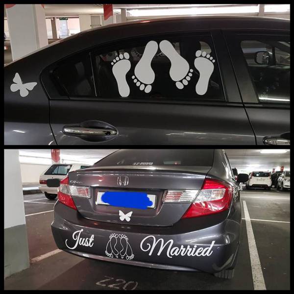 Morning Picdump