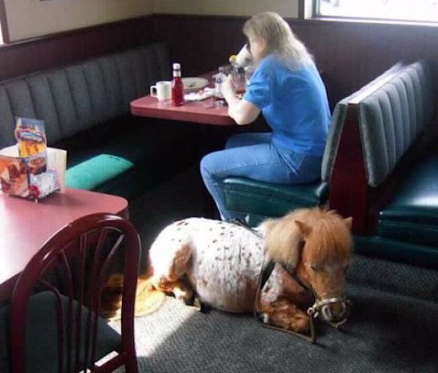 Morning Picdump