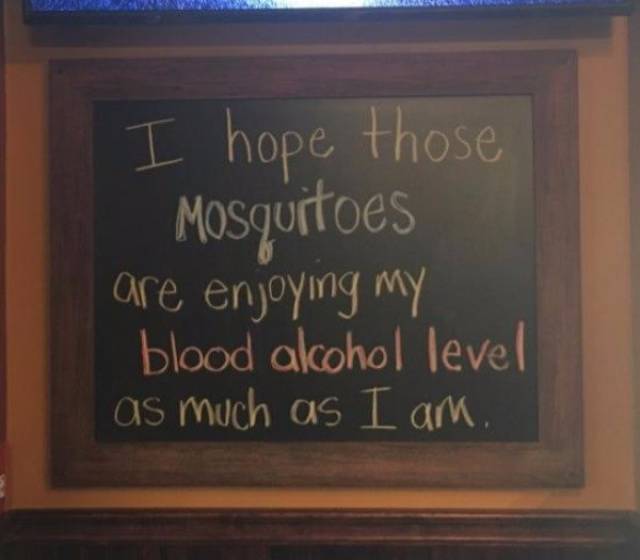 Morning Picdump