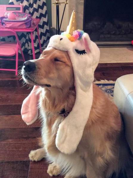 Morning Picdump