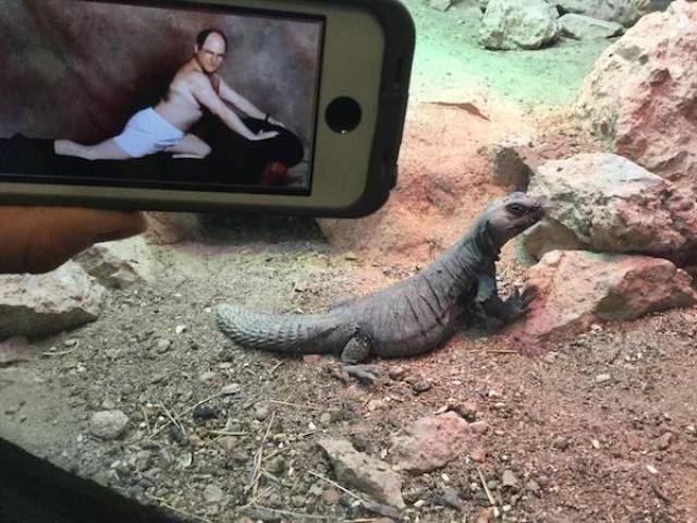 Morning Picdump