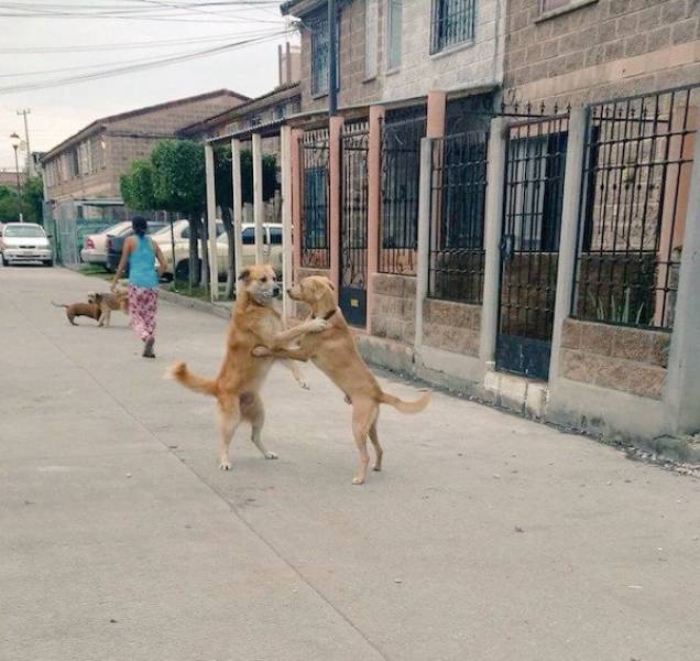 Morning Picdump