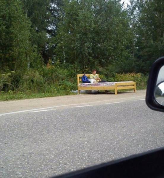 Morning Picdump