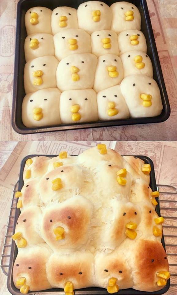 Morning Picdump