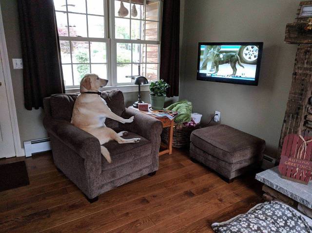 Daily Picdump