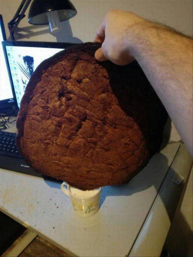 Daily Picdump
