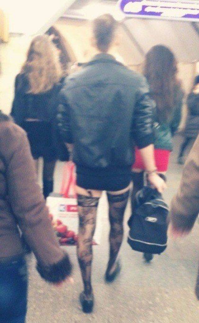 Daily Picdump