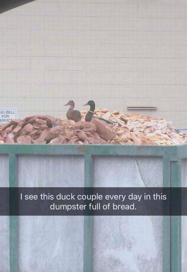 Daily Picdump