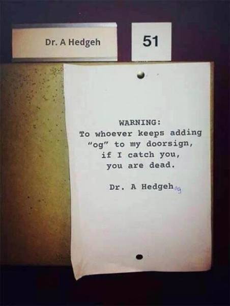 Daily Picdump