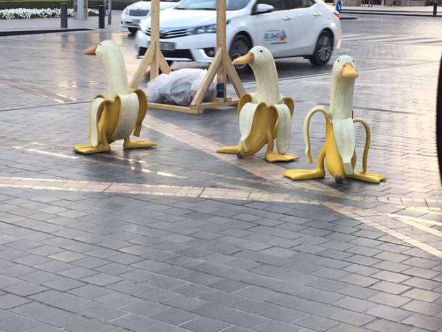 Morning Picdump