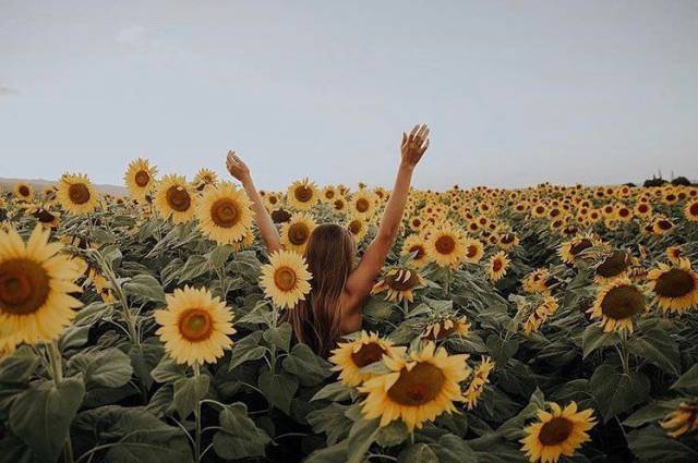 Daily Picdump [WEEKEND EDITION]