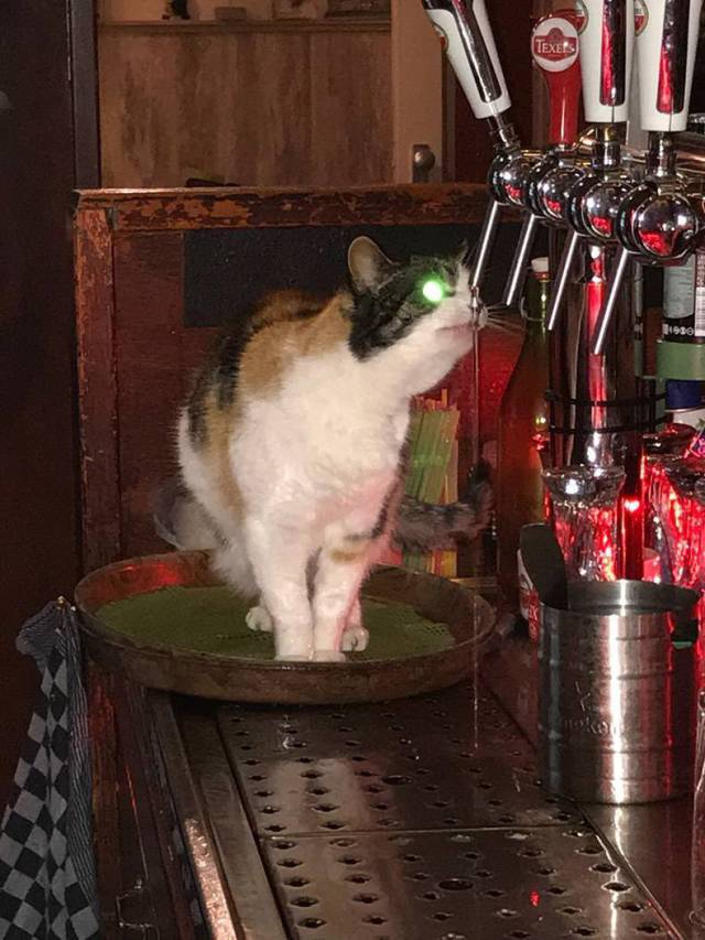 Daily Picdump [WEEKEND EDITION]