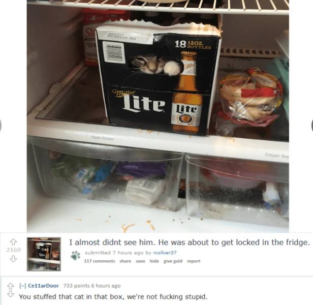 People Should Seriously Stop Lying On The Internet