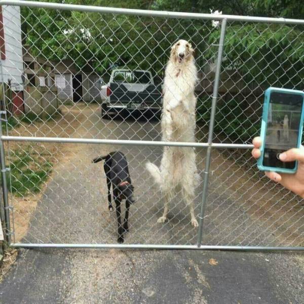 Morning Picdump