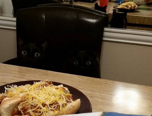 Daily Picdump