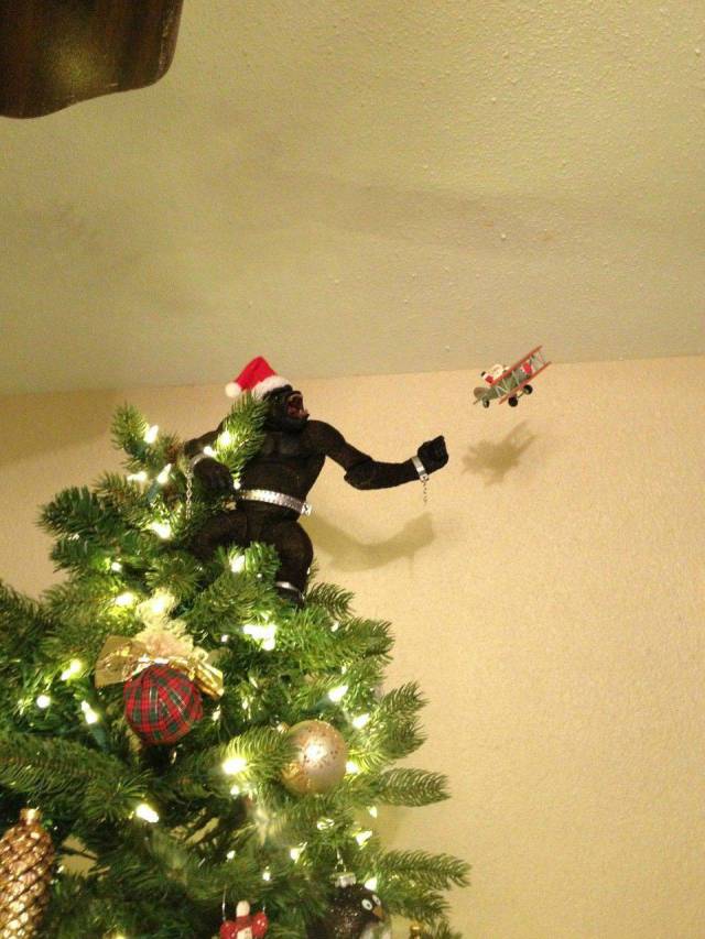 Daily Picdump