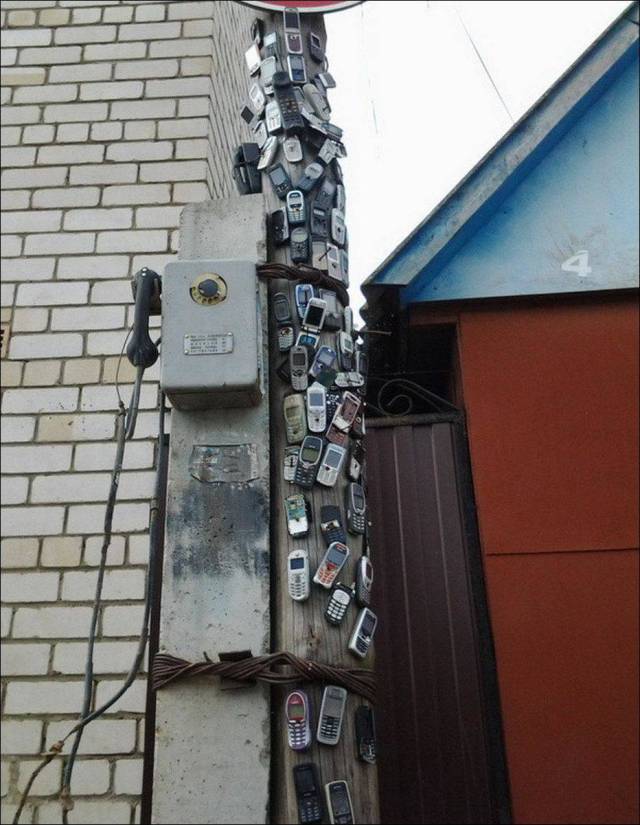 Daily Picdump