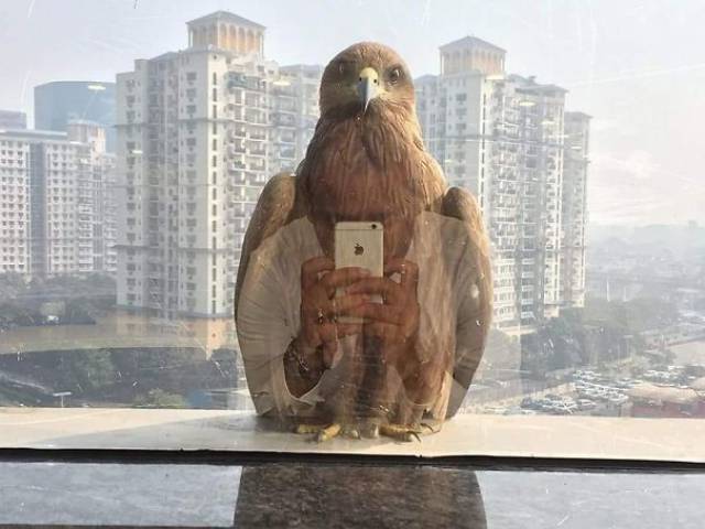 Timing Makes The Photo Perfect