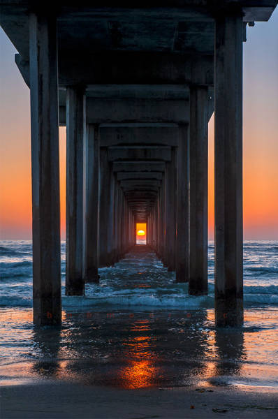 Timing Makes The Photo Perfect