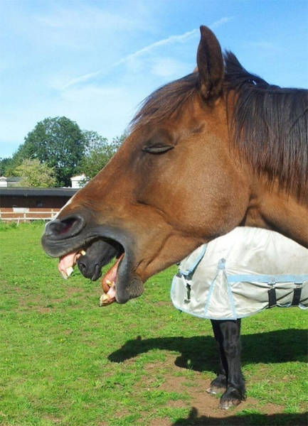 Timing Makes The Photo Perfect