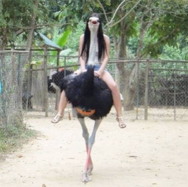 Timing Makes The Photo Perfect
