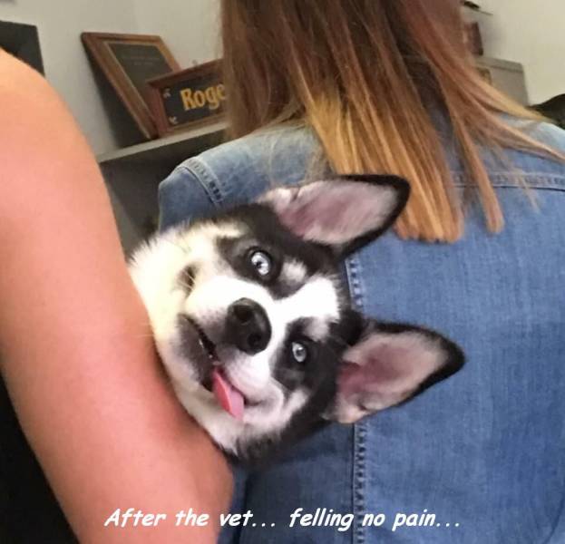 Daily Picdump