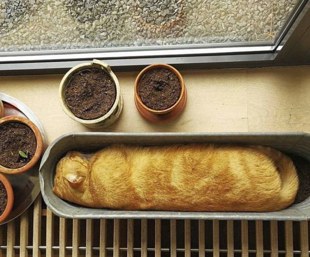 Daily Picdump