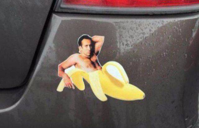 Daily Picdump