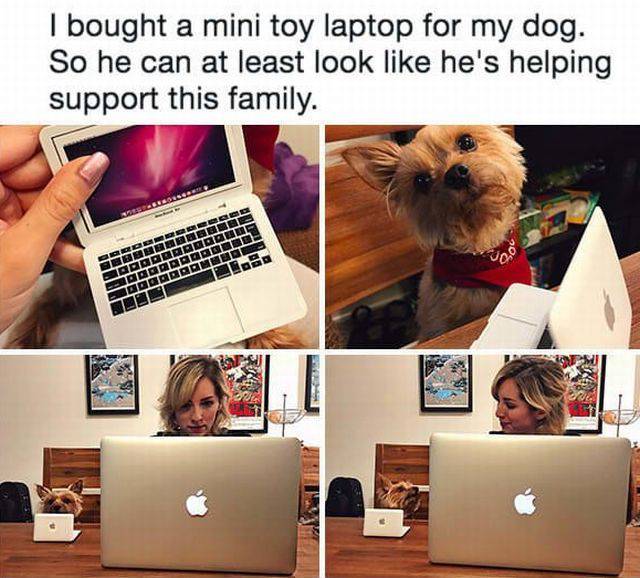 Daily Picdump