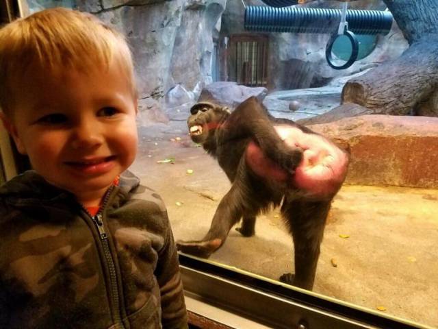 Daily Picdump