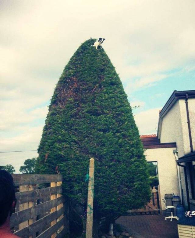 Daily Picdump