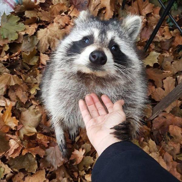 Daily Picdump