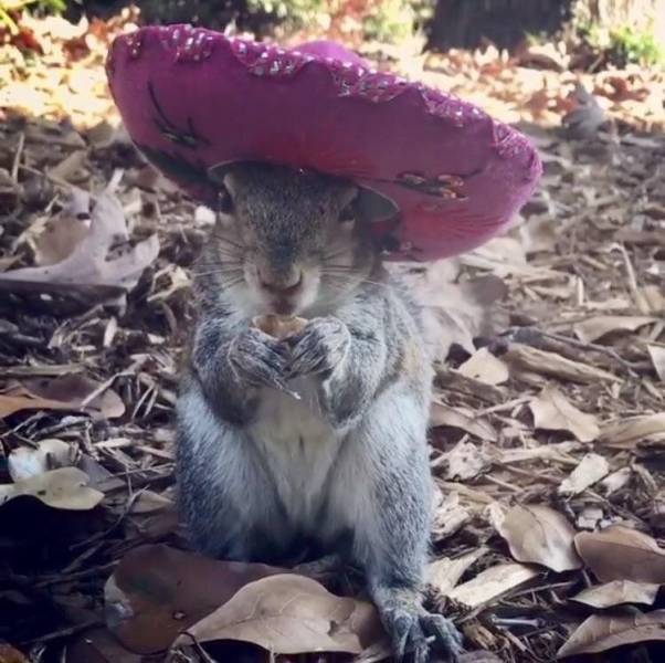 Daily Picdump
