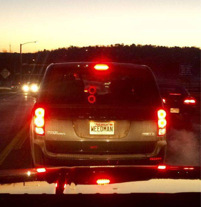 Daily Picdump