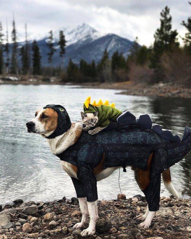 Daily Picdump [WEEKEND EDITION]