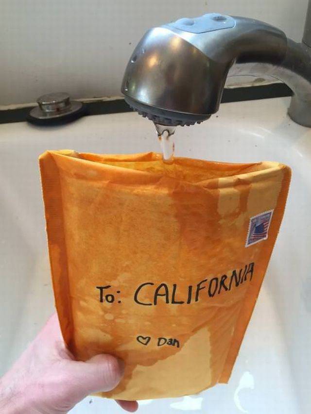Daily Picdump [WEEKEND EDITION]