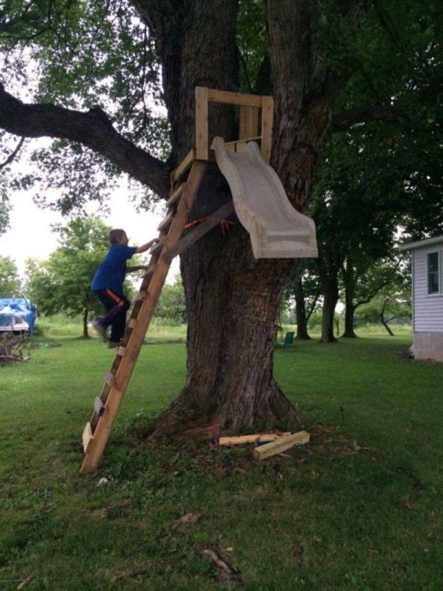 Daily Picdump [WEEKEND EDITION]