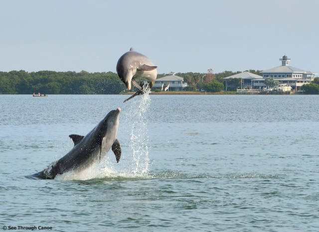 Daily Picdump [WEEKEND EDITION]