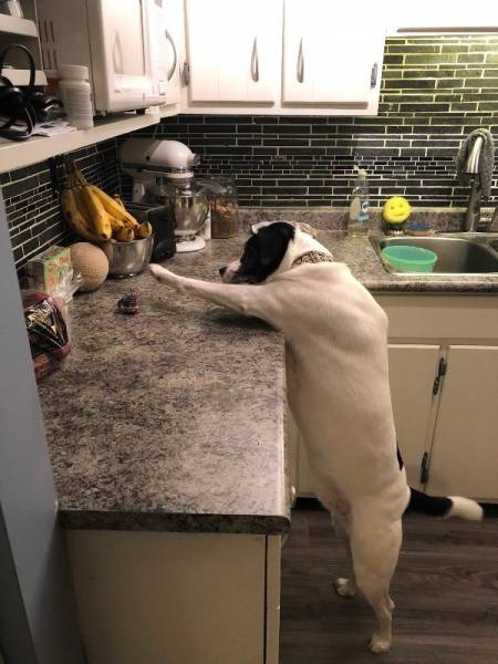 Daily Picdump [WEEKEND EDITION]