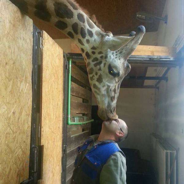 Daily Picdump