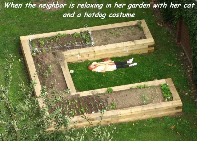 Daily Picdump