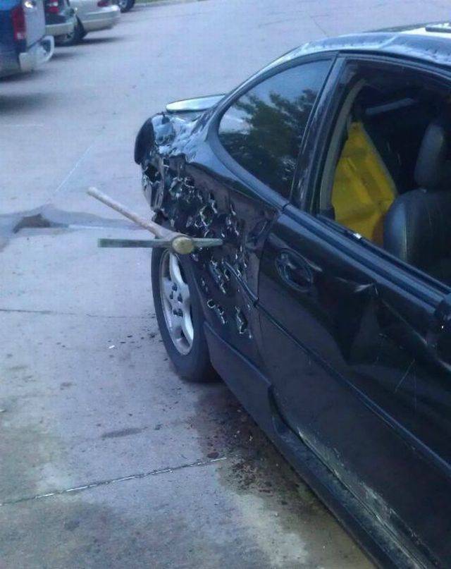 Daily Picdump