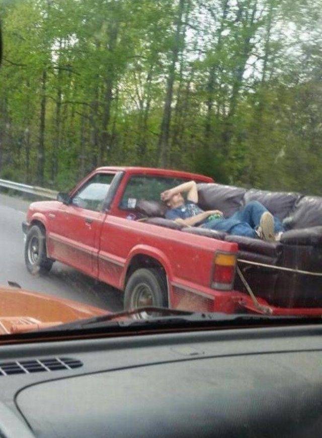 Daily Picdump
