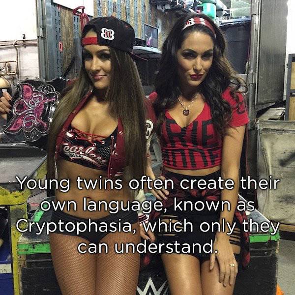 Identical Facts About Twins