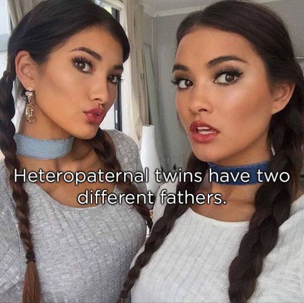 Identical Facts About Twins
