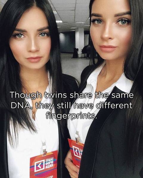 Identical Facts About Twins