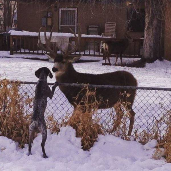 Daily Picdump