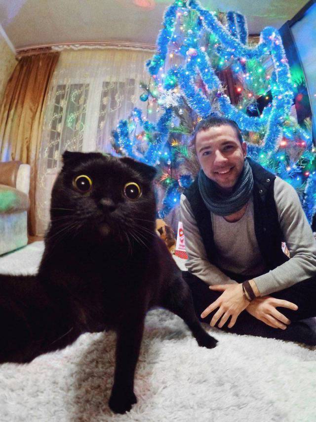 Daily Picdump
