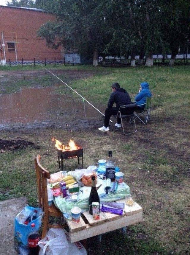 Daily Picdump