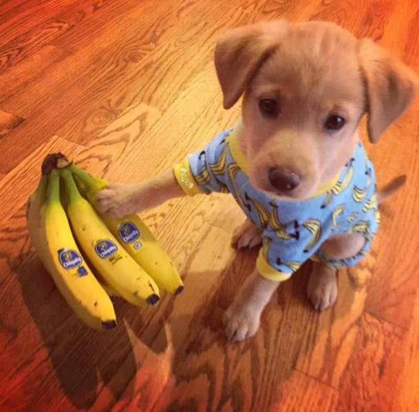 Morning Picdump